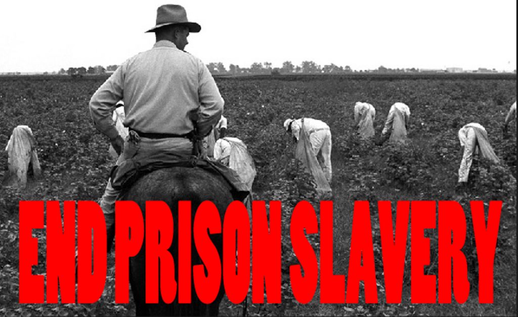 EDITPrison-Slavery-Field