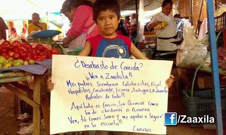 "Food shortage? Come to Zaachila! My parents grow squash, beans, nopal, peanuts, jicama, lettuce, radishes. Here everything is fresh, without chemicals, not like in Chedraui or Aurrera. Come, you eat healthy and help me stay in school! - Carlitos"